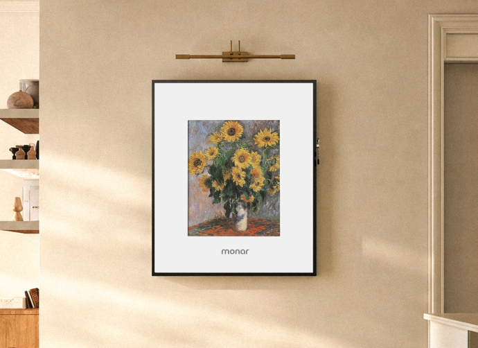 Interchangeable Frame Monar Classic